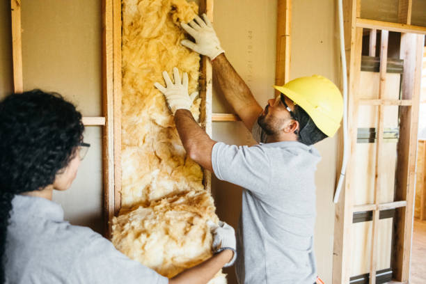 Best Attic Insulation Installation  in Lake View, AL